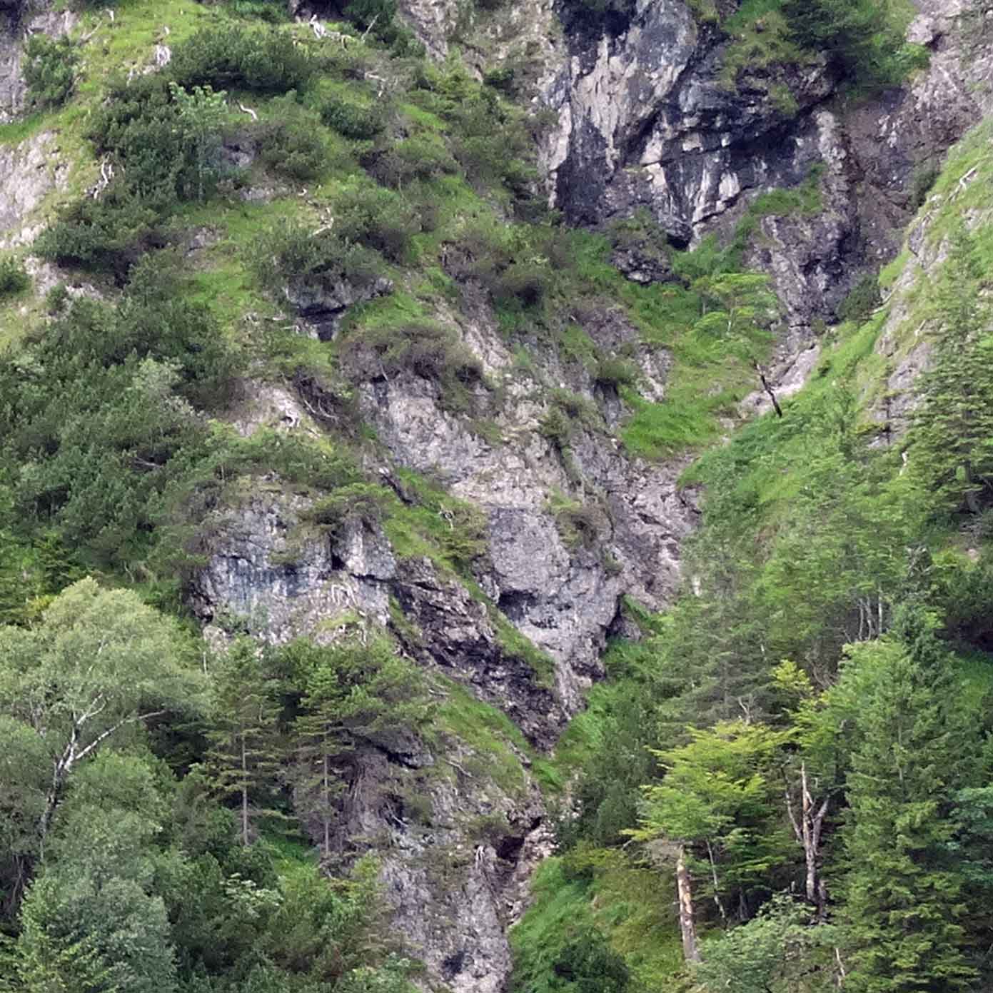 Bewaldeter Steilhang Teil 2 – Modellbahn Hintergrund 300 x 50 cm 2