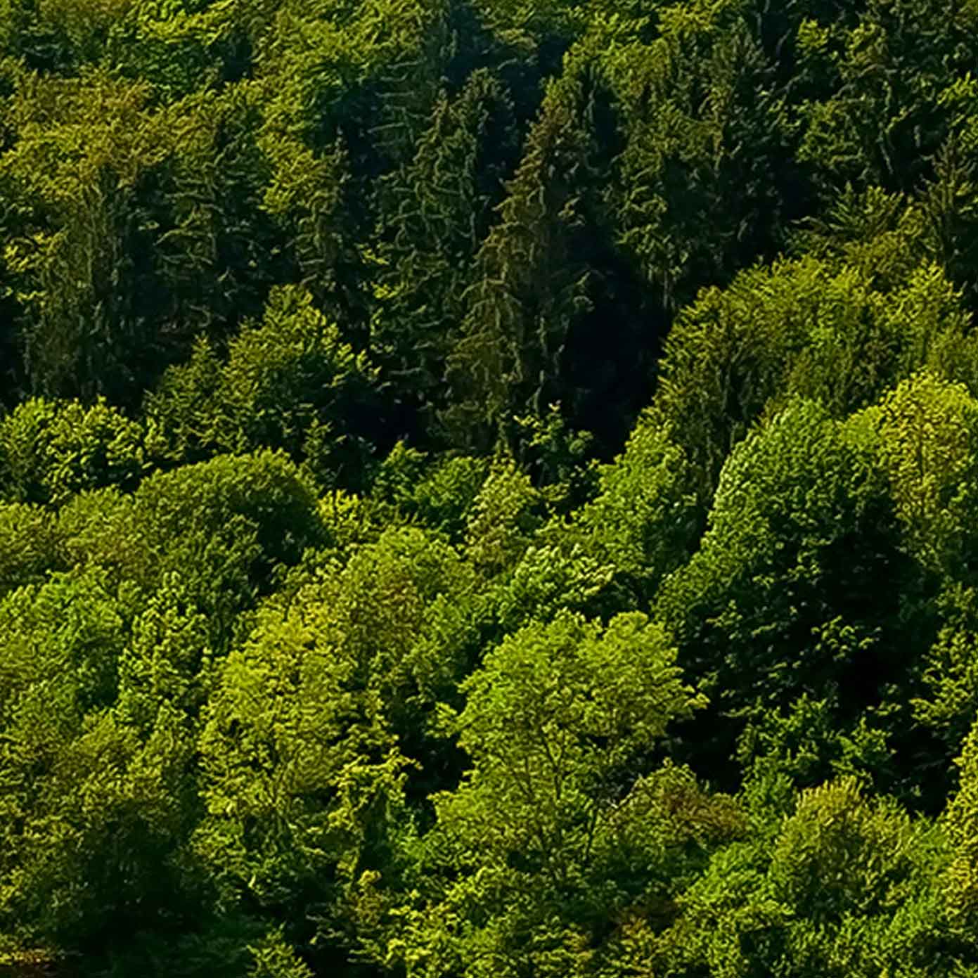Mittelgebirge Teil 2 "Burg Neideck" – Modellbahn Hintergrund 300cm x 50 cm 2