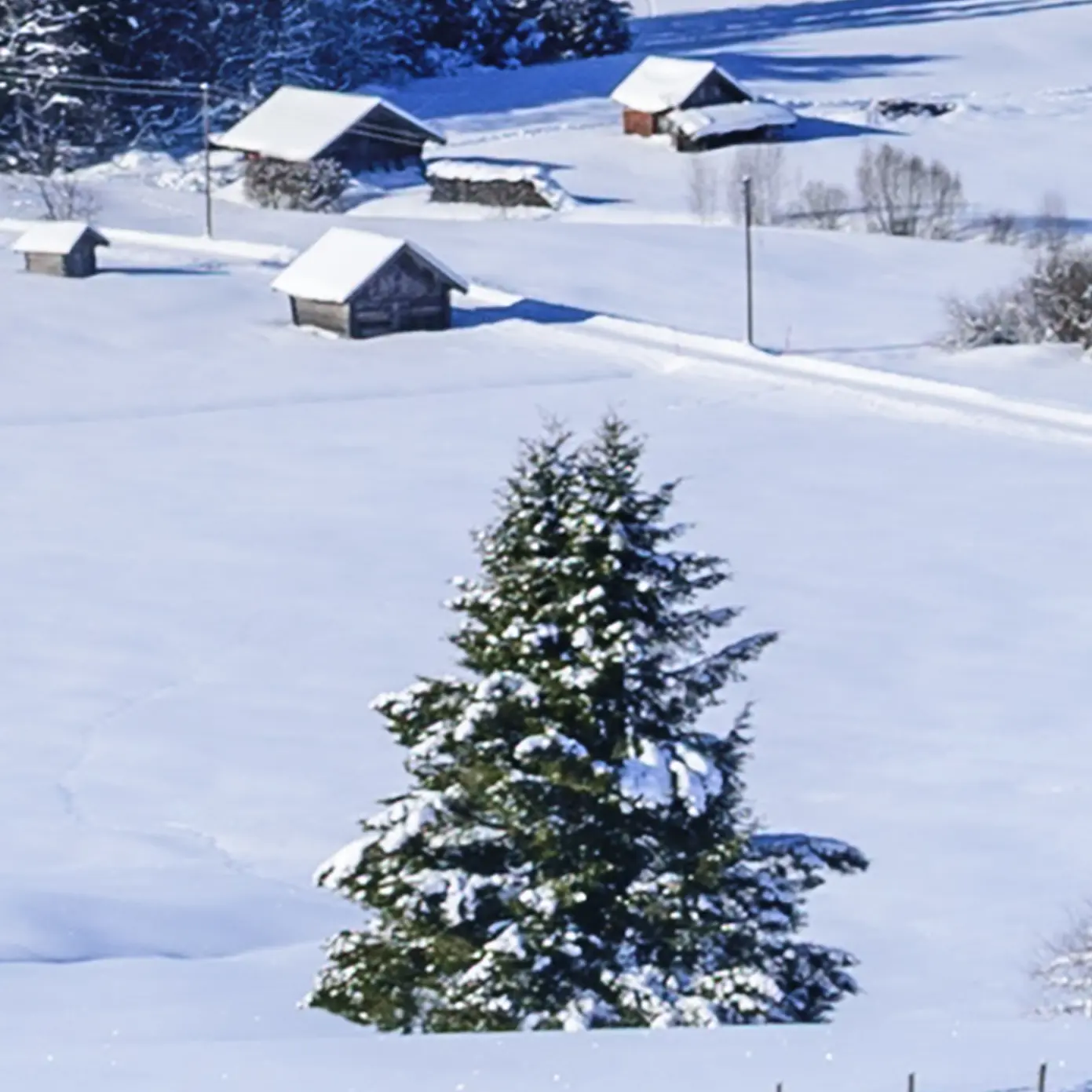 Alpenpanorama im Winter | 300 x 50 cm 2