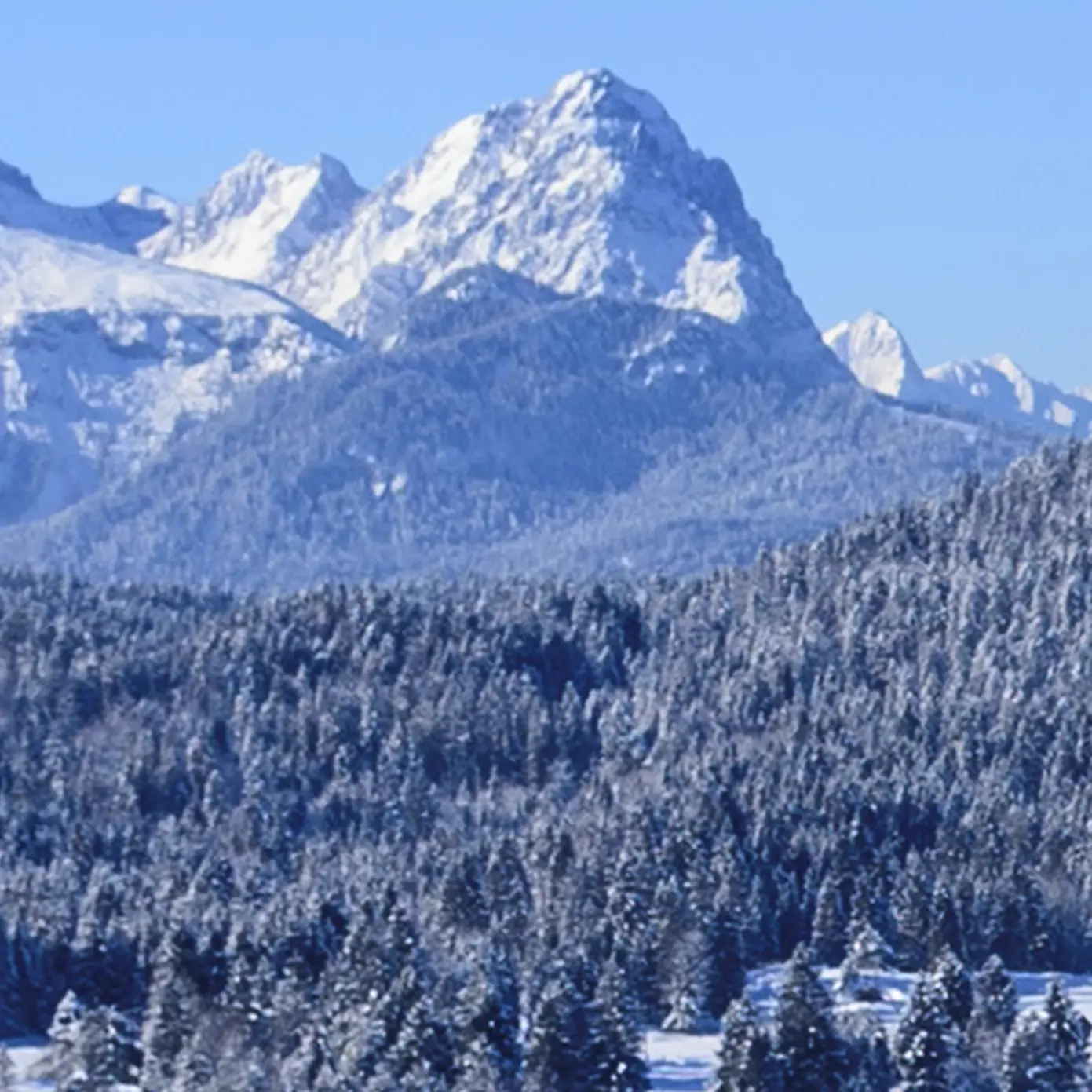 Alpenpanorama im Winter | 300 x 50 cm 1