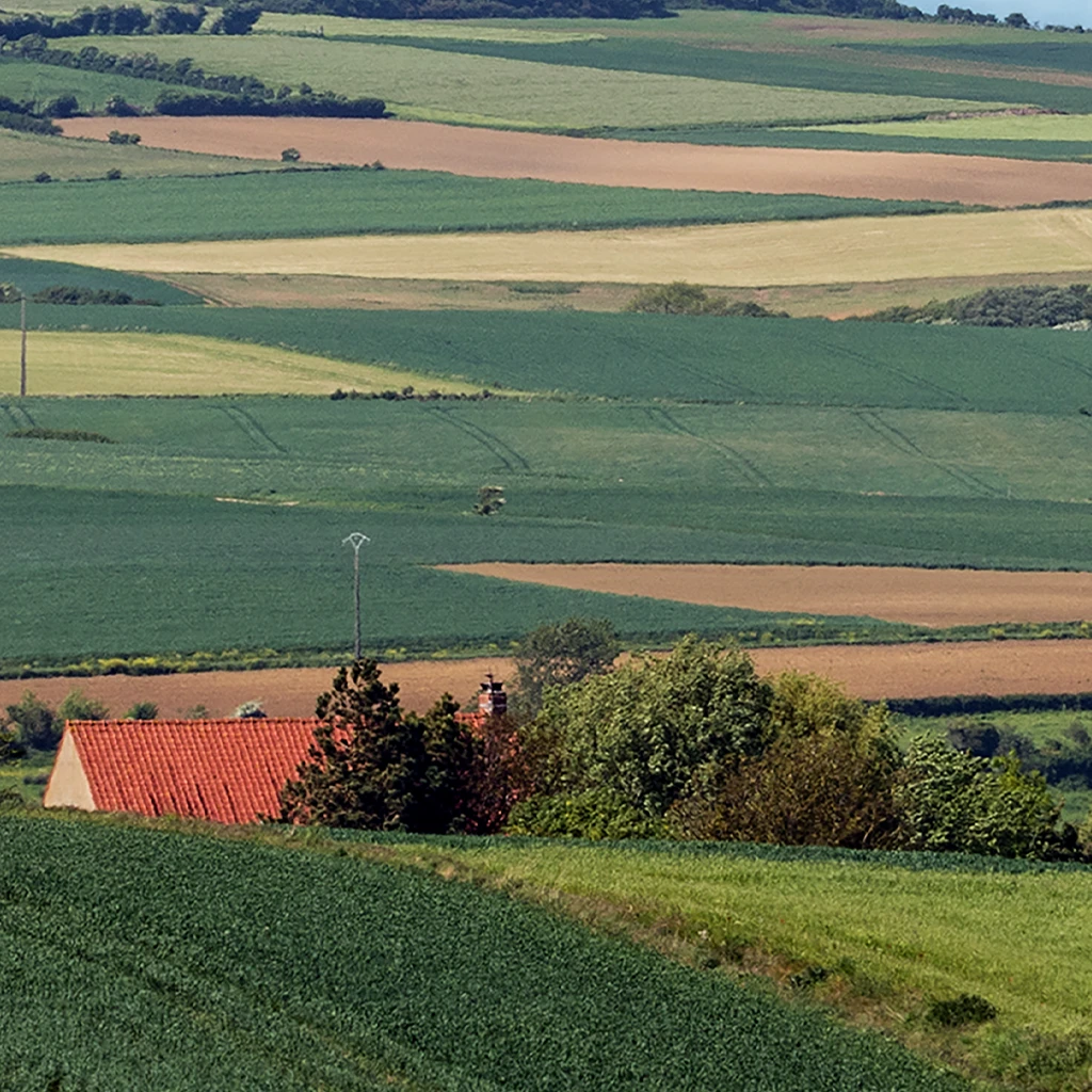 Landleben – Felder und Äcker Modellbahnhintergrund Detail